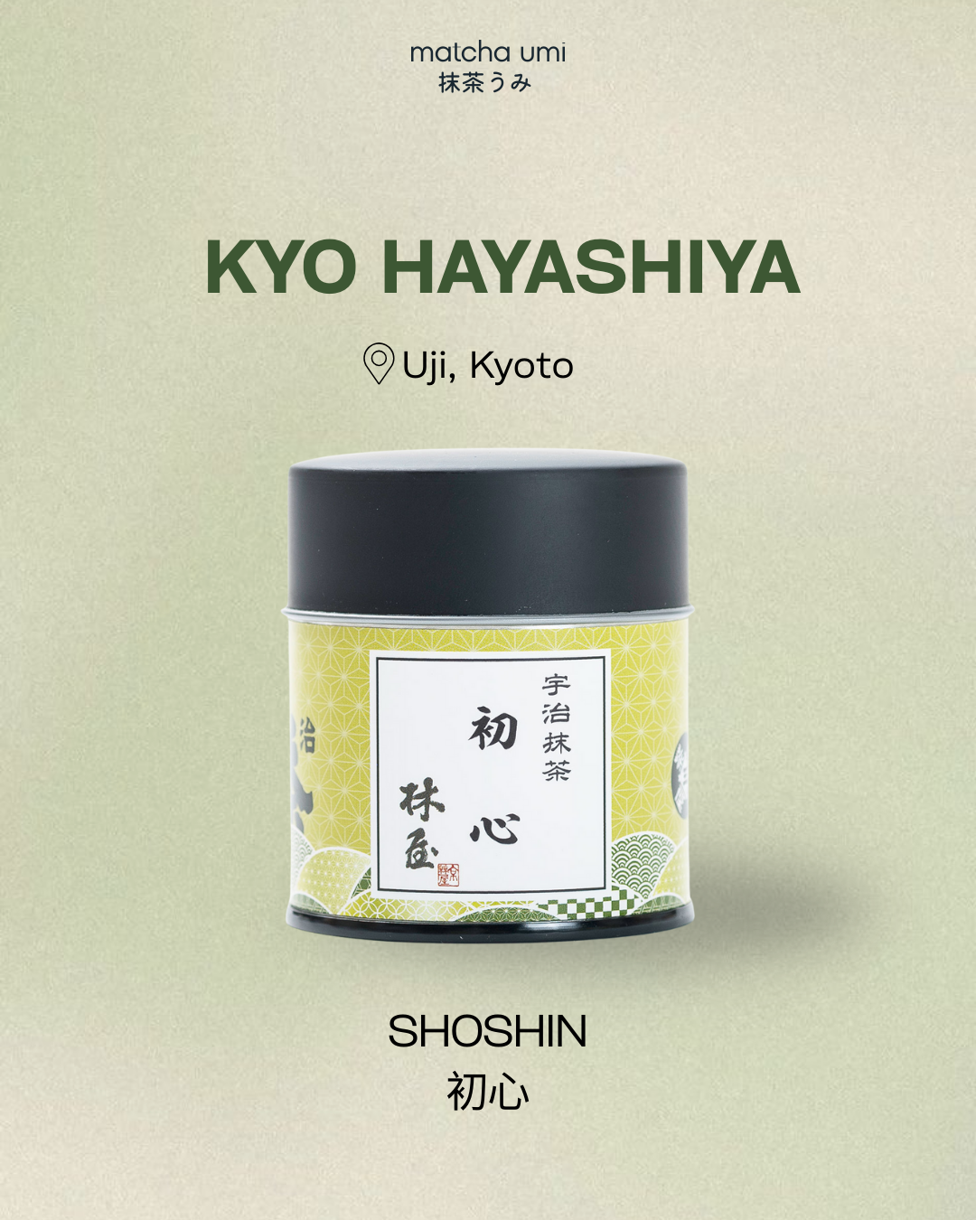 Kyo Hayashiya - Shoshin Matcha
